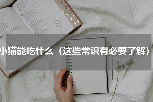 小猫能吃什么（这些常识有必要了解）
