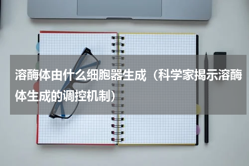 溶酶体由什么细胞器生成（科学家揭示溶酶体生成的调控机制）