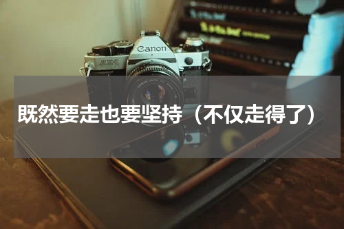 既然要走也要坚持（不仅走得了）