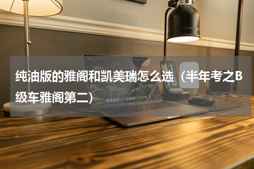 纯油版的雅阁和凯美瑞怎么选（半年考之B级车雅阁第二）