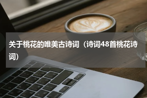 关于桃花的唯美古诗词（诗词48首桃花诗词）