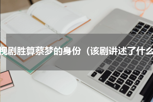 电视剧胜算蔡梦的身份（该剧讲述了什么）