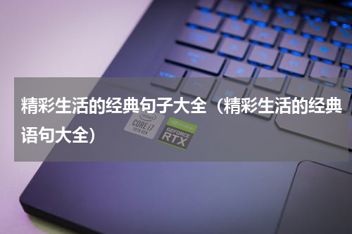 精彩生活的经典句子大全（精彩生活的经典语句大全）