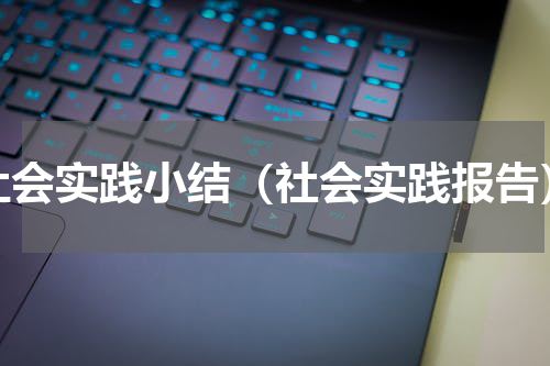 社会实践小结（社会实践报告）