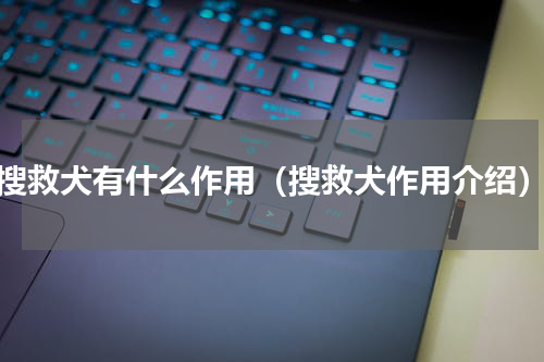 搜救犬有什么作用（搜救犬作用介绍）