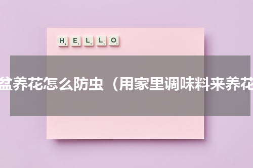 花盆养花怎么防虫（用家里调味料来养花）