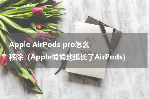 Apple AirPods pro怎么移除（Apple悄悄地延长了AirPods）