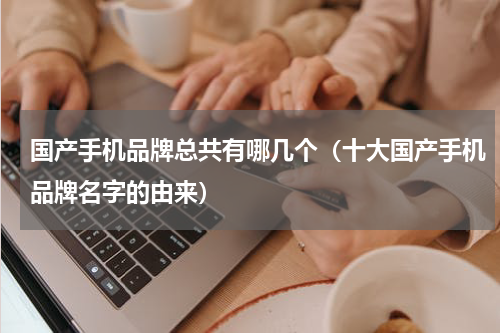 国产手机品牌总共有哪几个（十大国产手机品牌名字的由来）