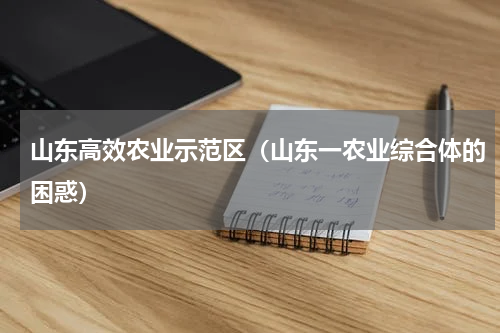 山东高效农业示范区（山东一农业综合体的困惑）