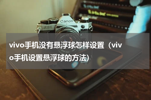 vivo手机没有悬浮球怎样设置（vivo手机设置悬浮球的方法）