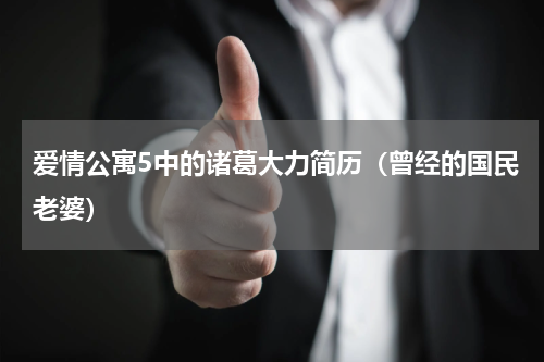 爱情公寓5中的诸葛大力简历（曾经的国民老婆）