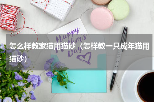 怎么样教家猫用猫砂（怎样教一只成年猫用猫砂）