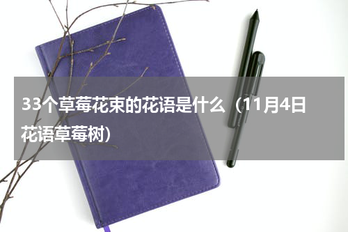 33个草莓花束的花语是什么（11月4日花语草莓树）
