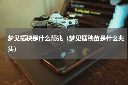 梦见插秧是什么预兆（梦见插秧苗是什么兆头）