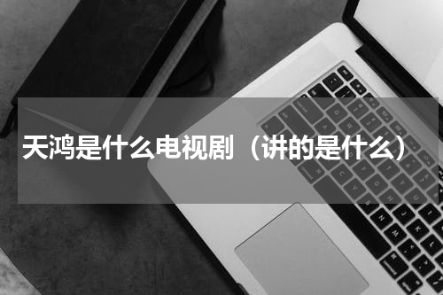 天鸿是什么电视剧（讲的是什么）