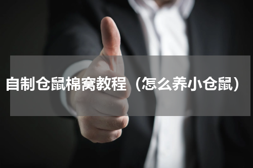 自制仓鼠棉窝教程（怎么养小仓鼠）