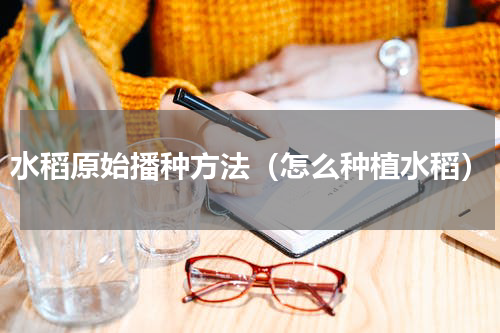 水稻原始播种方法（怎么种植水稻）
