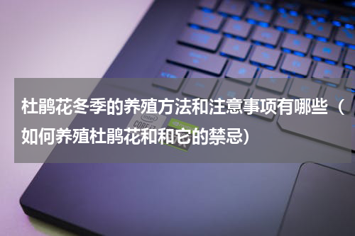 杜鹃花冬季的养殖方法和注意事项有哪些（如何养殖杜鹃花和和它的禁忌）