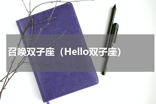 召唤双子座（Hello双子座）