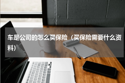 车是公司的怎么买保险（买保险需要什么资料）