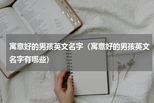 寓意好的男孩英文名字（寓意好的男孩英文名字有哪些）