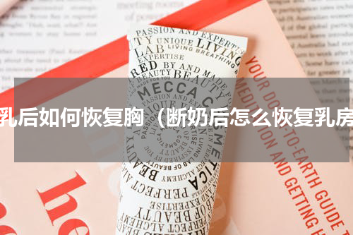 哺乳后如何恢复胸（断奶后怎么恢复乳房）