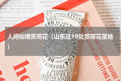 人间仙境赏荷花（山东这10处赏荷花圣地）
