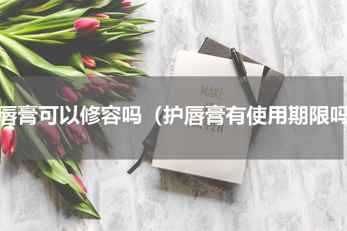 护唇膏可以修容吗（护唇膏有使用期限吗）