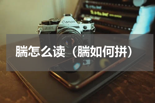腨怎么读（腨如何拼）