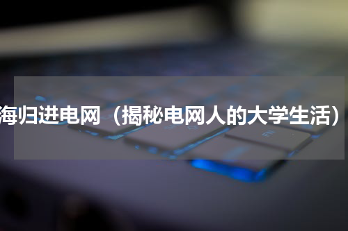 海归进电网（揭秘电网人的大学生活）