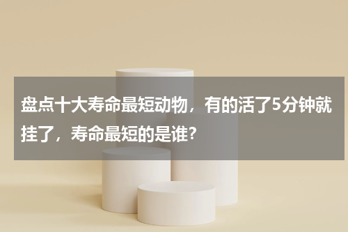 盘点十大寿命最短动物，有的活了5分钟就挂了，寿命最短的是谁？