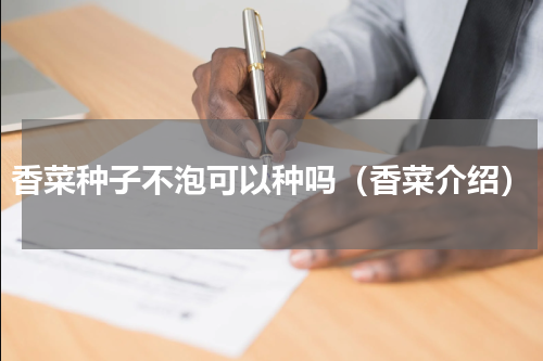 香菜种子不泡可以种吗（香菜介绍）