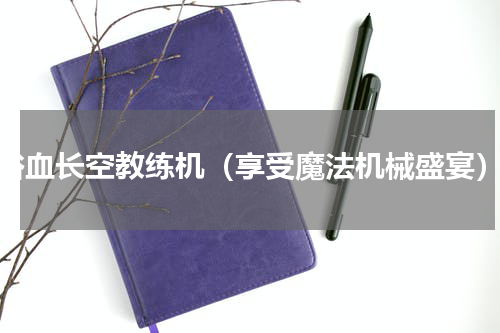 浴血长空教练机（享受魔法机械盛宴）