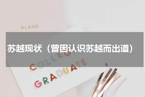 苏越现状（曾因认识苏越而出道）