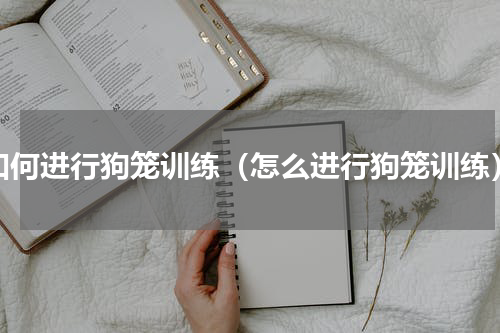 如何进行狗笼训练（怎么进行狗笼训练）