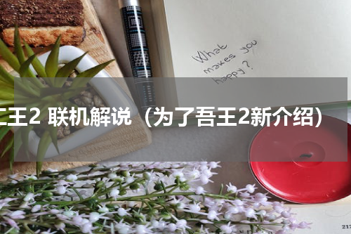 仁王2 联机解说（为了吾王2新介绍）