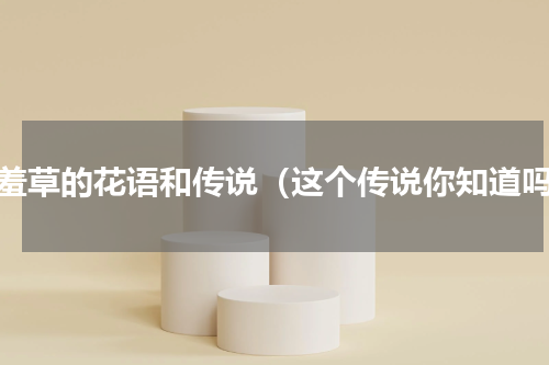含羞草的花语和传说（这个传说你知道吗）