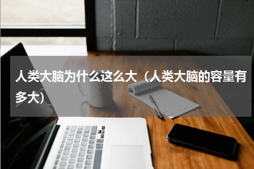 人类大脑为什么这么大（人类大脑的容量有多大）