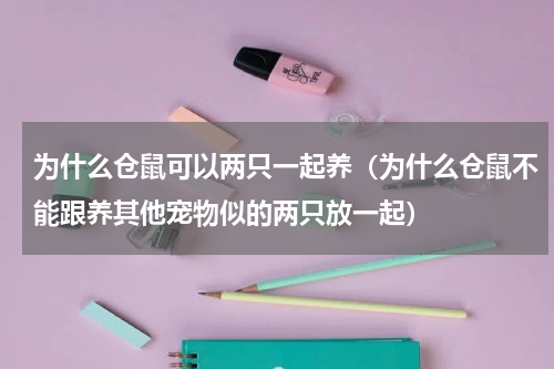 为什么仓鼠可以两只一起养（为什么仓鼠不能跟养其他宠物似的两只放一起）