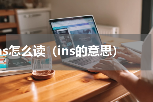 ins怎么读（ins的意思）