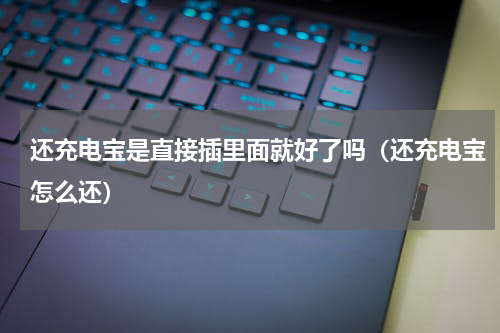 还充电宝是直接插里面就好了吗（还充电宝怎么还）