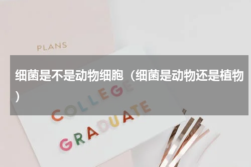 细菌是不是动物细胞（细菌是动物还是植物）
