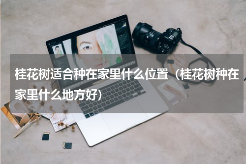桂花树适合种在家里什么位置（桂花树种在家里什么地方好）