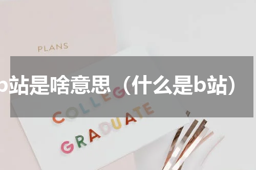 b站是啥意思（什么是b站）