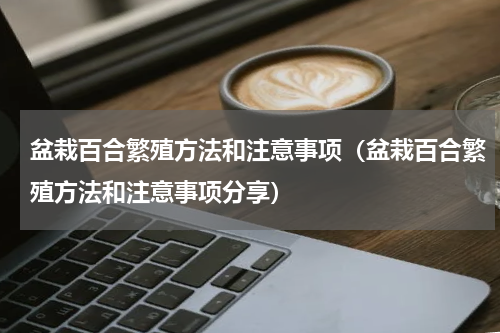 盆栽百合繁殖方法和注意事项（盆栽百合繁殖方法和注意事项分享）