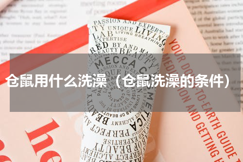 仓鼠用什么洗澡（仓鼠洗澡的条件）