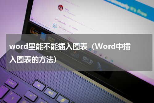 word里能不能插入图表（Word中插入图表的方法）