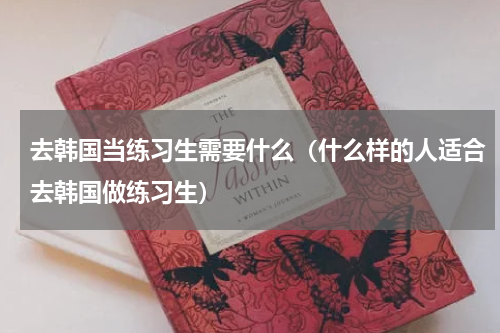 去韩国当练习生需要什么（什么样的人适合去韩国做练习生）