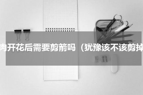 多肉开花后需要剪箭吗（犹豫该不该剪掉）
