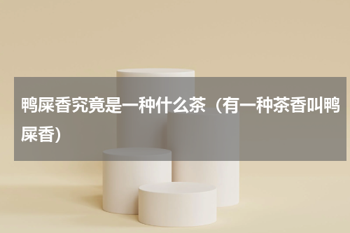 鸭屎香究竟是一种什么茶（有一种茶香叫鸭屎香）
